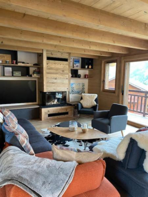 Chalet familial vue MontBlanc